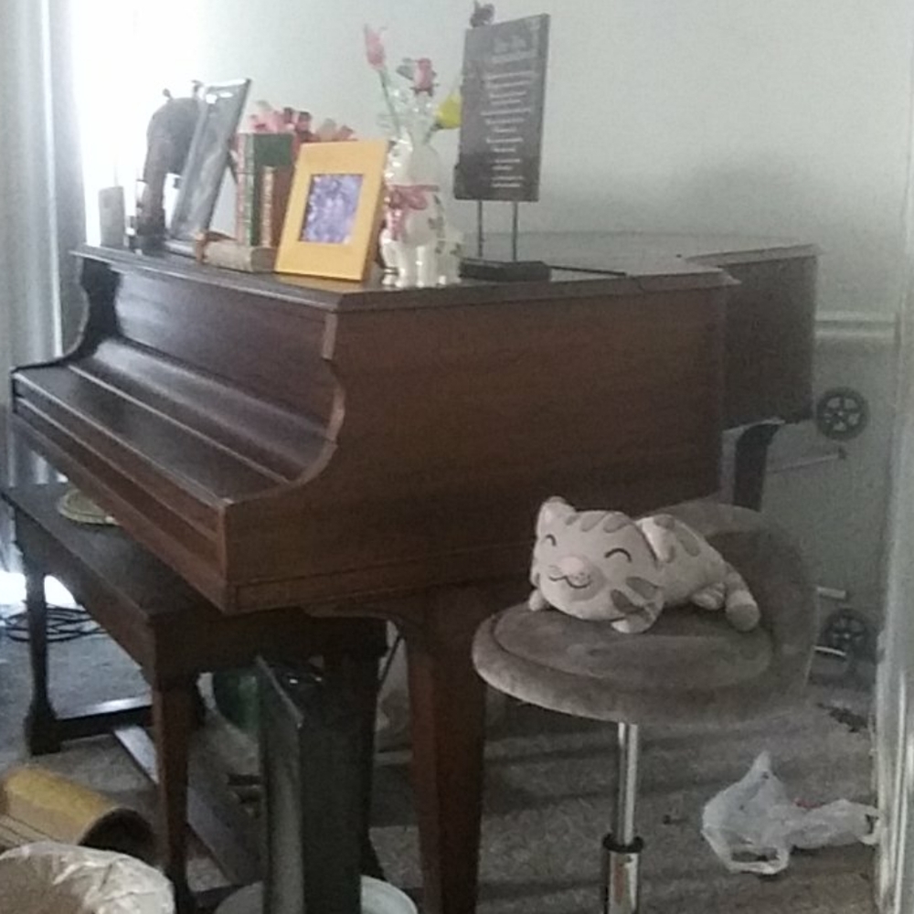 Piano - Picture 2 of 6
